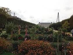 Galerie d'Evolution, Paris