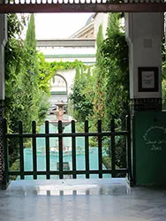 The Grand Mosque, Paris